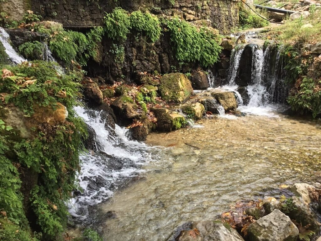 cascada de borsh para que ver en borsh